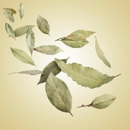 Dry bay leaves falling on pale goldenrod gradient background