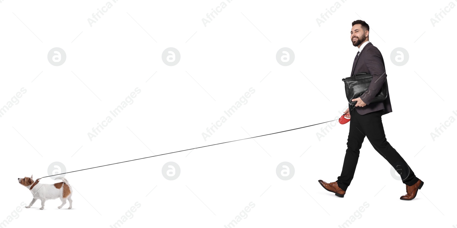 Image of Smiling businessman walking with dog on white background