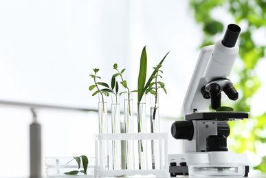 Photo of Laboratory glassware with different plants and microscope on table against blurred background, space for text. Chemistry research