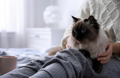 Woman with her cute Balinese cat on bed at home, closeup. Fluffy pet