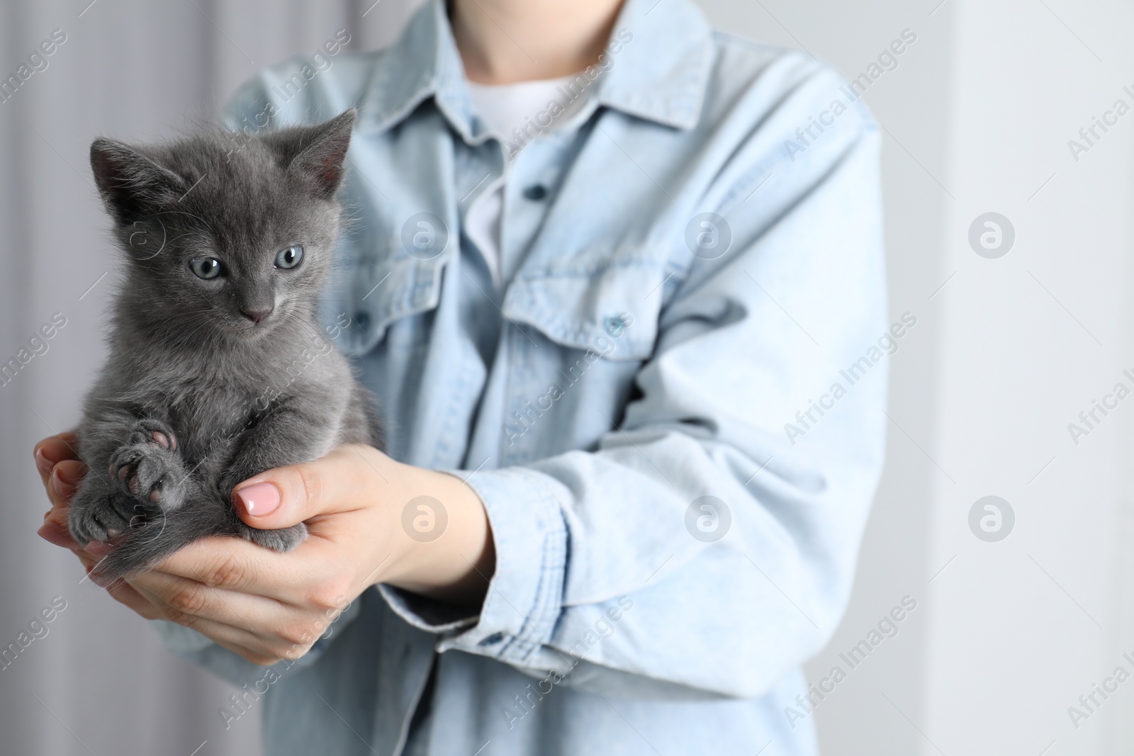 Photo of Woman with cute fluffy kitten indoors, closeup