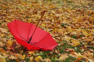 Photo of Red umbrella and fallen autumn leaves on grass in park, space for text