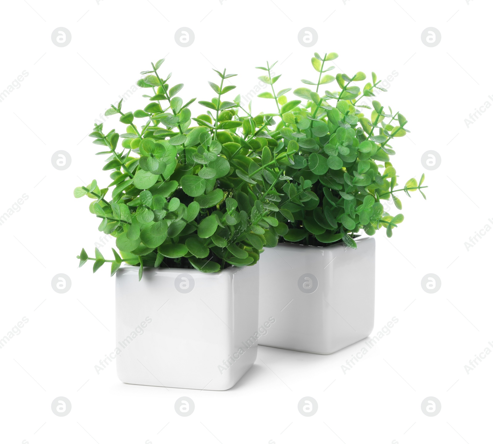 Photo of Beautiful artificial plants in flower pots isolated on white