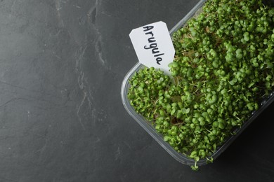 Sprouted arugula seeds in plastic container on grey table, top view. Space for text