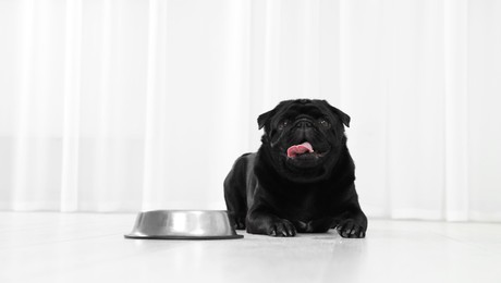 Photo of Cute Pug dog eating from metal bowl in room, space for text