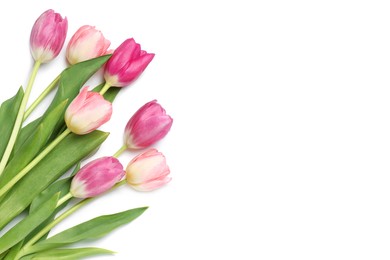 Beautiful pink tulip flowers isolated on white, top view