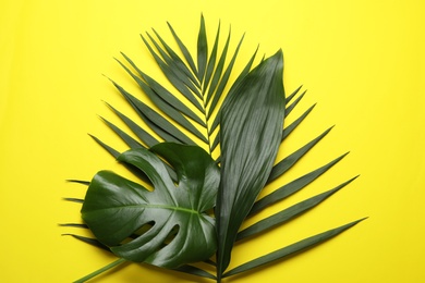 Flat lay composition with tropical leaves on color background