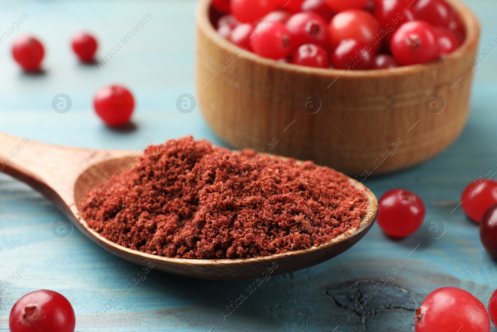 Photo of Spoon with cranberry powder and fresh berries on light blue wooden table, closeup