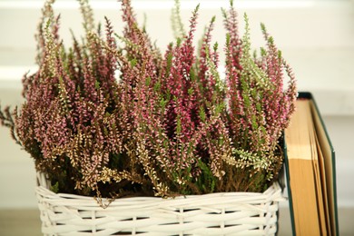 Beautiful heather flowers in wicker basket and book against light background, closeup