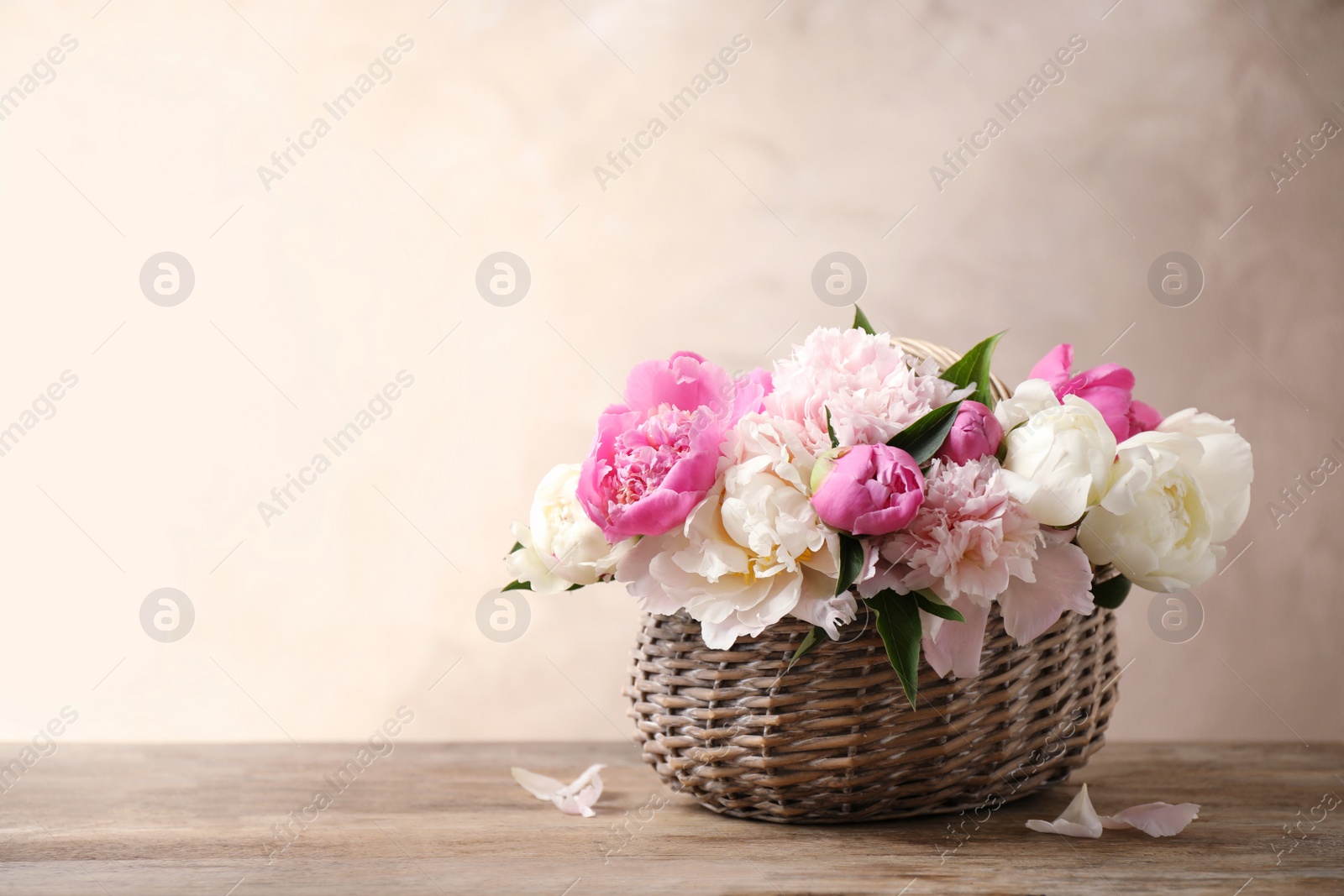 Photo of Beautiful peony bouquet in wicker basket on wooden table. Space for text