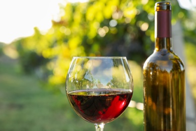 Photo of Bottle and glass of red wine in vineyard, closeup