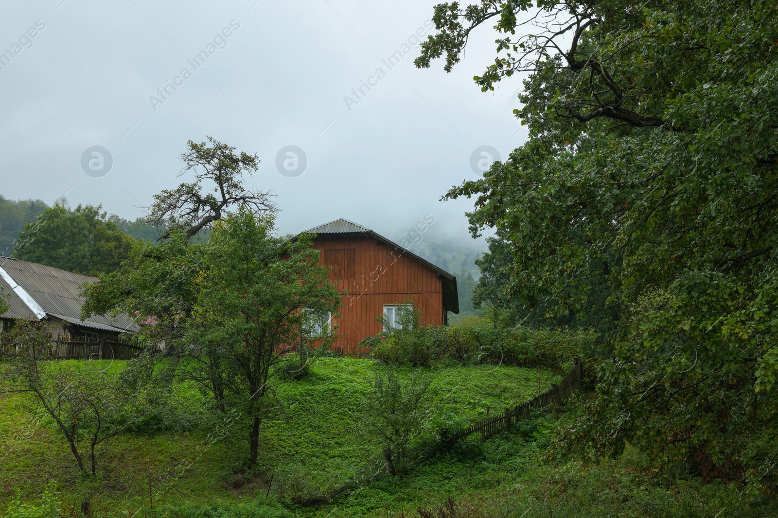 Photo of Beautiful landscape with forest and wooden house in mountains