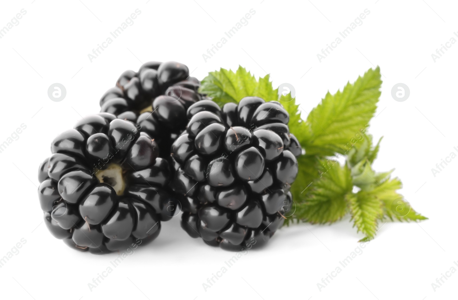 Photo of Tasty ripe blackberries and leaves on white background