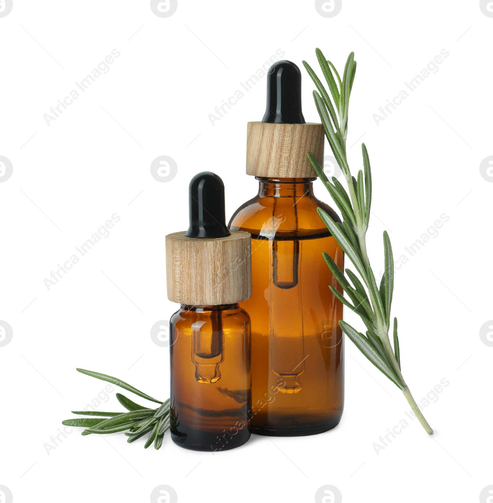 Photo of Bottles of essential oil and fresh rosemary isolated on white