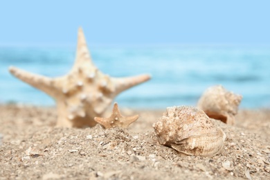 Photo of Beautiful starfish and shells on sand near sea. Beach objects