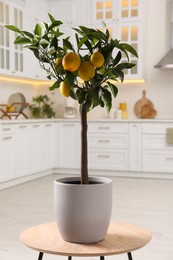Photo of Potted lemon tree with ripe fruits on small table in kitchen