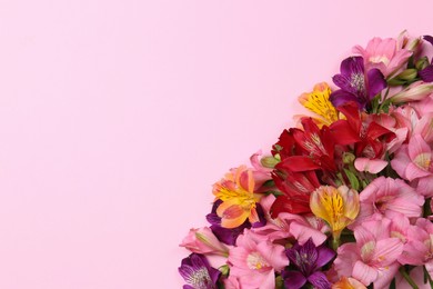 Photo of Flat lay composition with beautiful alstroemeria flowers on pale pink background, space for text