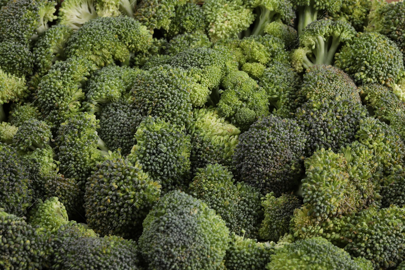 Photo of Fresh raw broccoli as background, closeup view