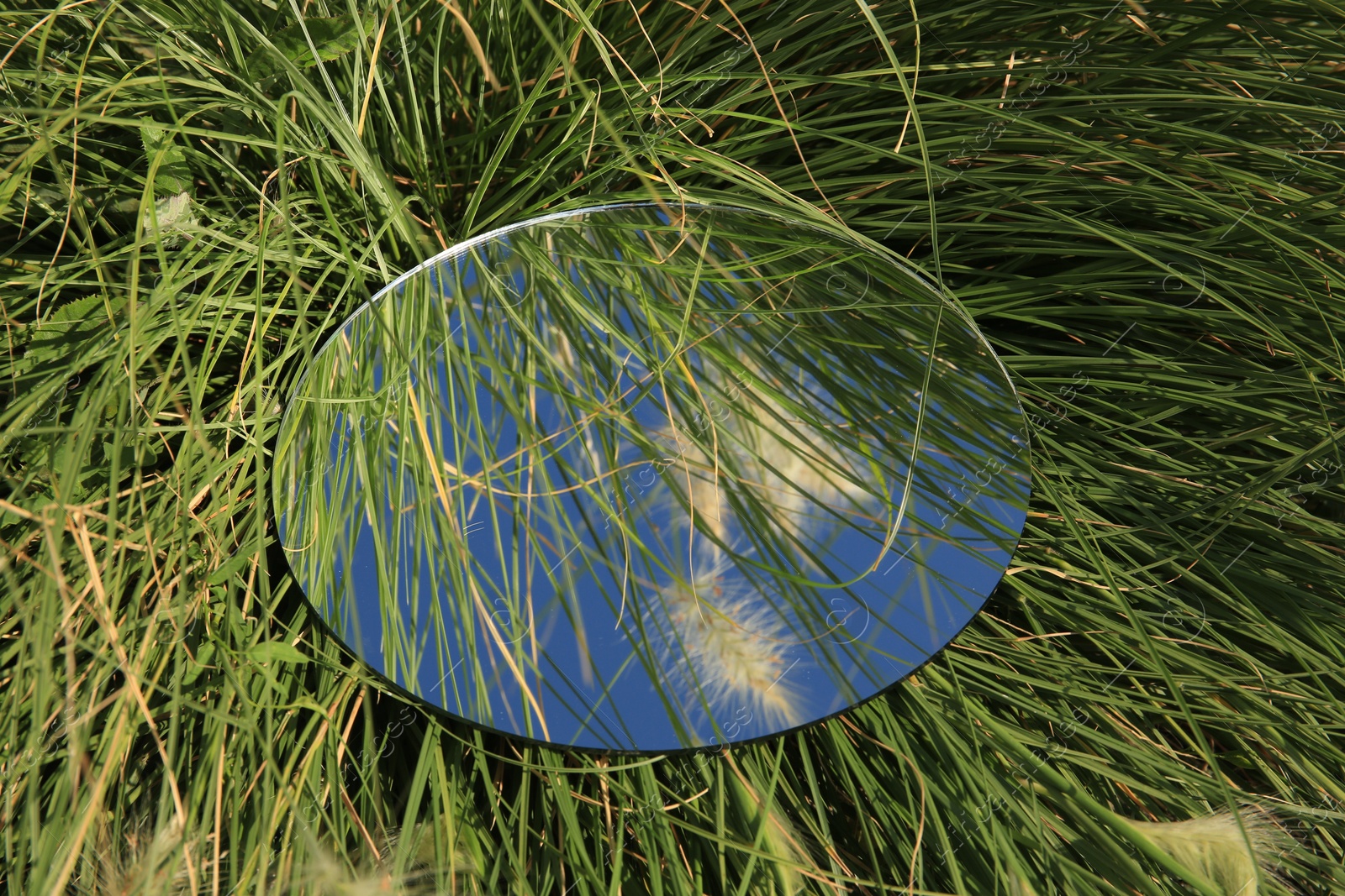 Photo of Round mirror reflecting sky, grass and spikelets outdoors, closeup