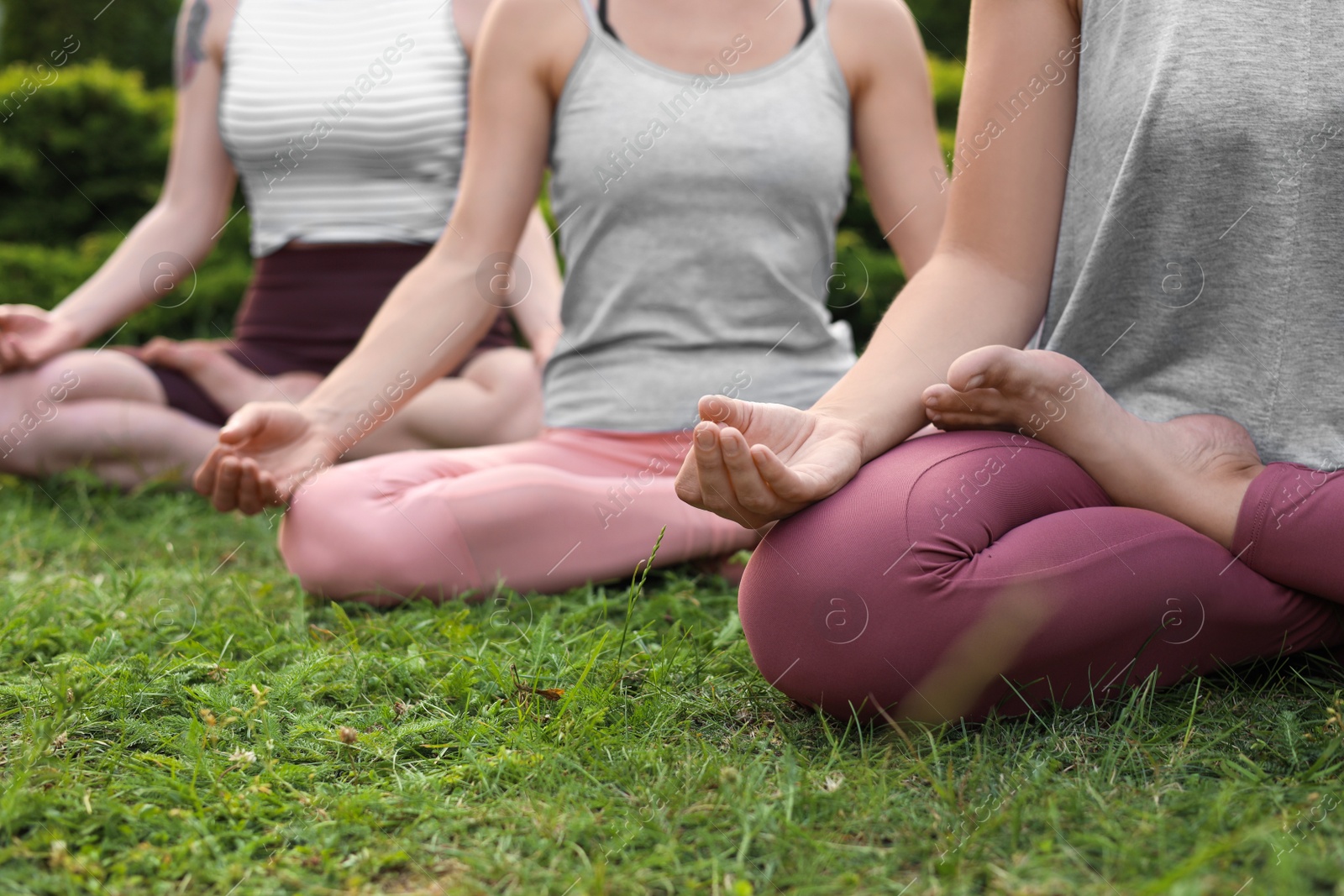 Photo of Women meditating on green grass outdoors, closeup. Morning yoga