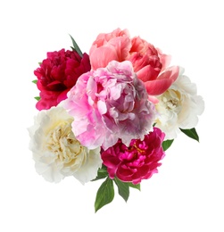 Beautiful peony flower bouquet on white background