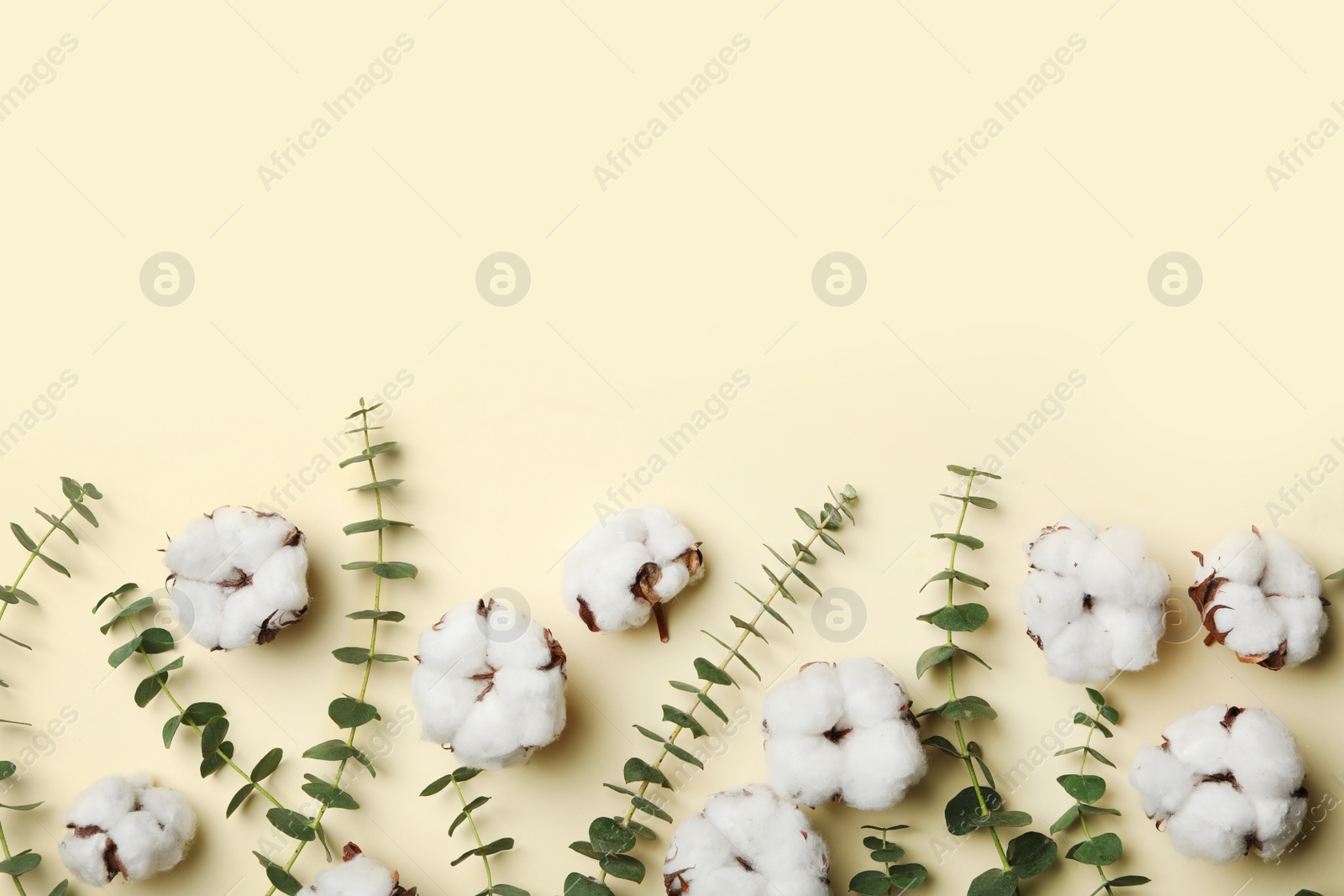 Photo of Flat lay composition with cotton flowers on yellow background. Space for text
