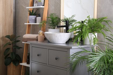 Modern bathroom interior with stylish vessel sink and beautiful green houseplants