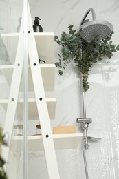 Photo of Branches with green eucalyptus leaves in shower