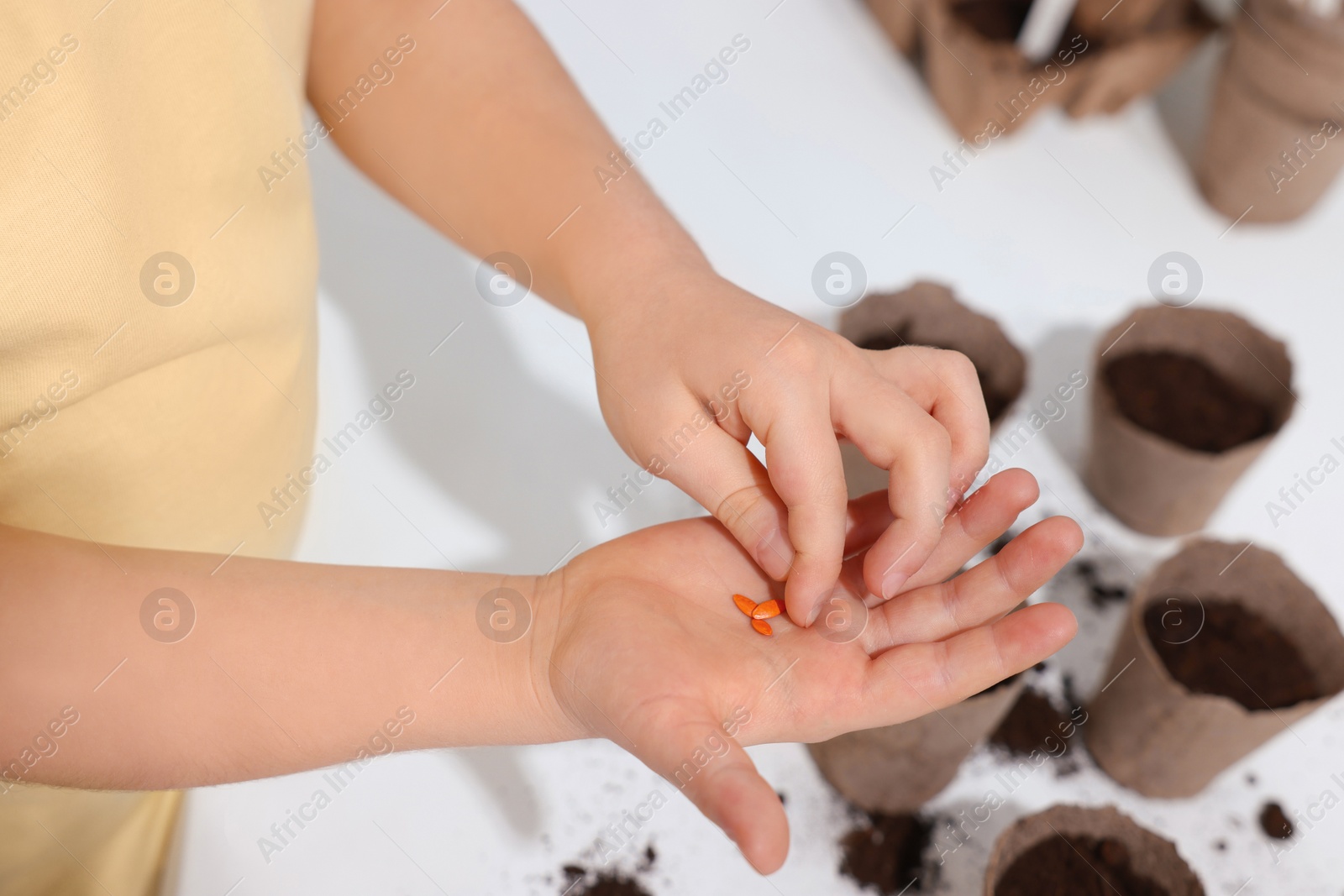 Photo of Little girl holding vegetable seeds at white table, closeup