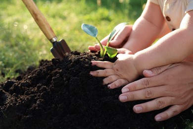 Photo of Mother and her child planting tree seedling into fertile soil, closeup