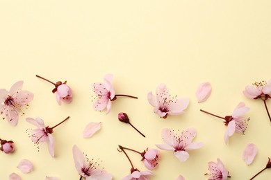 Photo of Beautiful spring tree blossoms and petals on yellow background, flat lay. Space for text