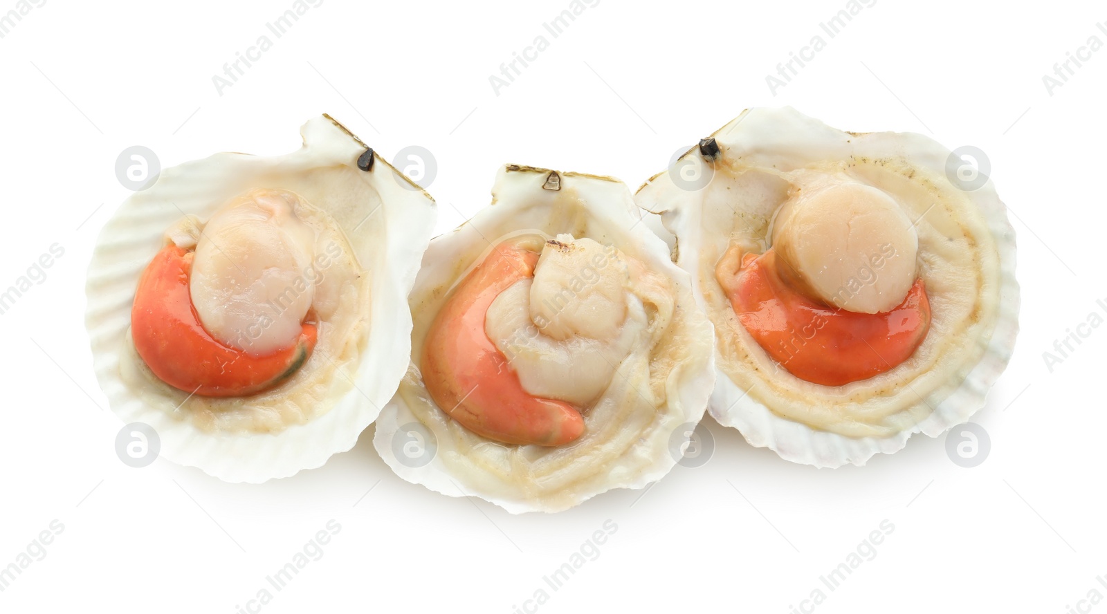 Photo of Fresh raw scallops in shells isolated on white, top view