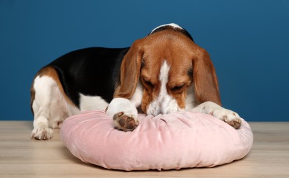 Photo of Adorable Beagle dog with pillow on floor against dark blue background