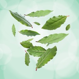 Image of Fresh bay leaves falling on light green background