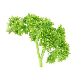 Photo of Fresh green organic parsley on white background