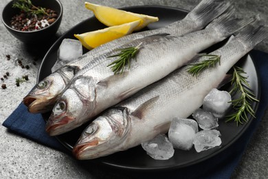 Photo of Sea bass fish and ingredients on grey table, closeup