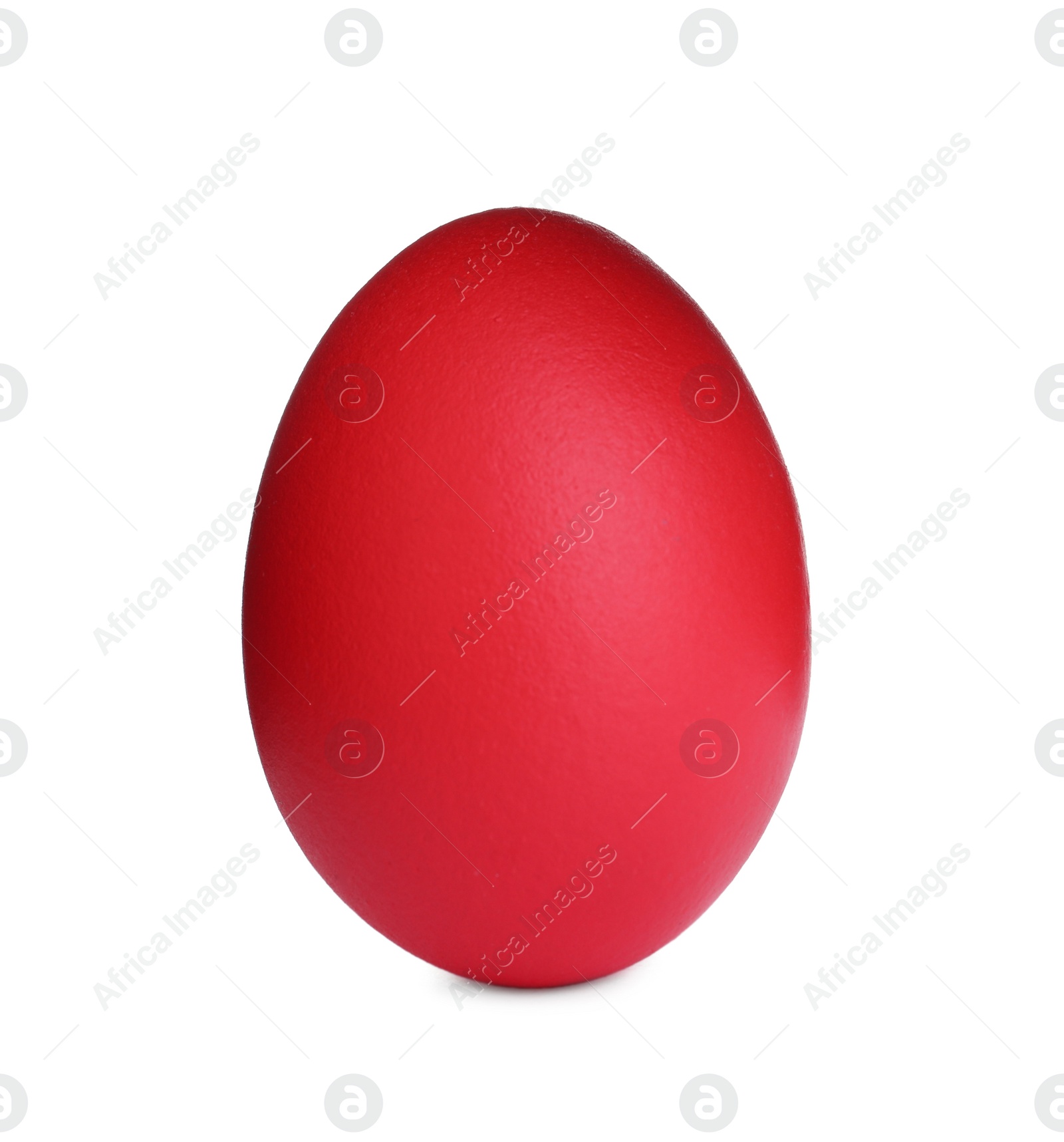 Photo of Painted red egg isolated on white. Happy Easter