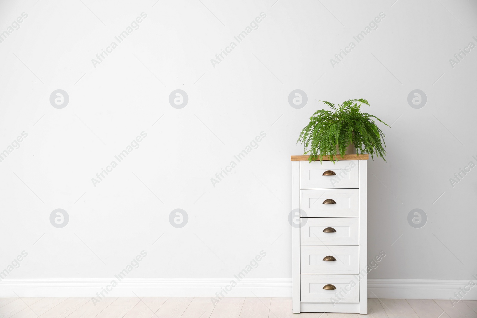 Photo of Potted fern on chest of drawers near white wall, space for text. Home plants