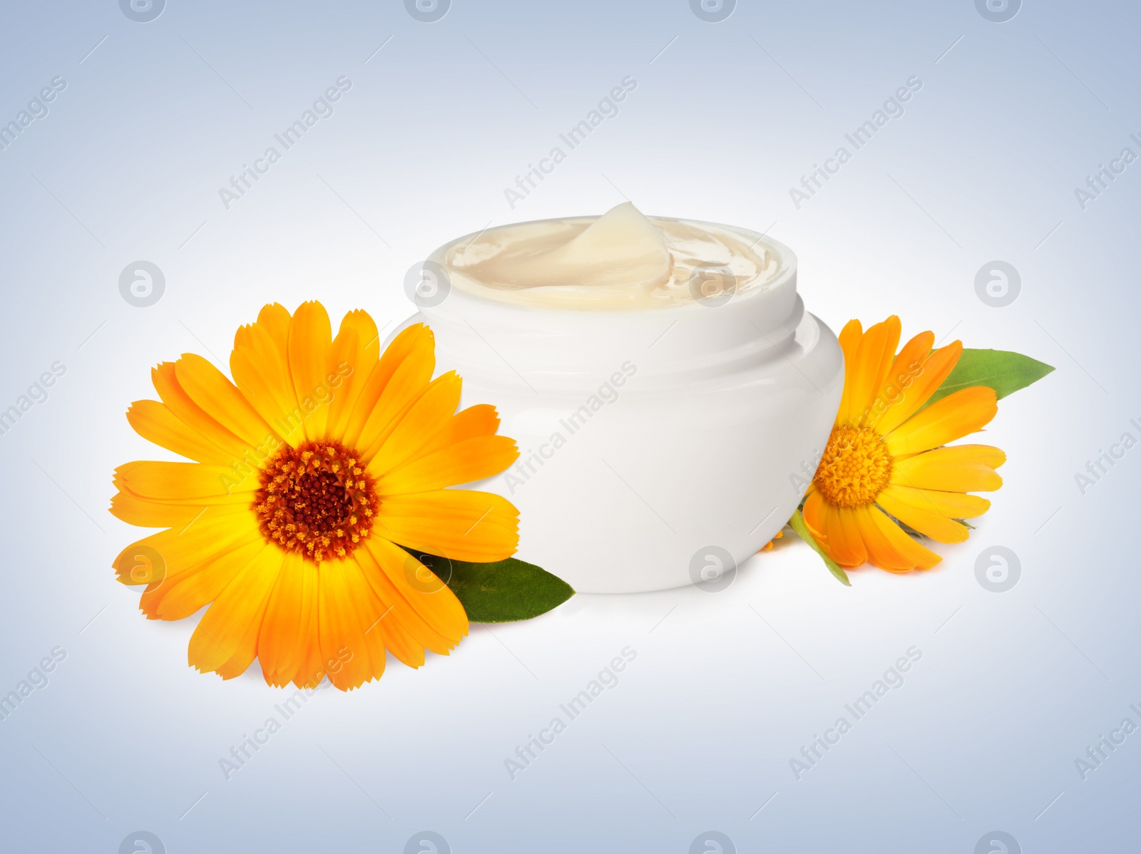 Image of Body cream with calendula extract on light background. Natural based cosmetic product