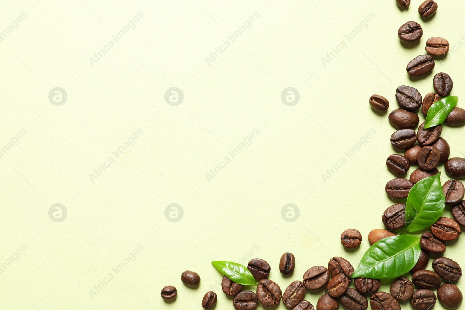 Photo of Fresh green coffee leaves and beans on light green background, flat lay. Space for text