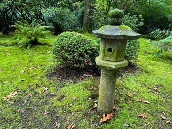 Stone lantern, bright moss, plants and fallen leaves in Japanese garden