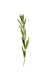 Photo of Fresh rosemary on white background