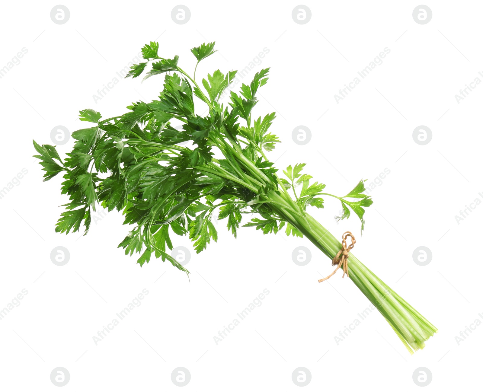 Photo of Bunch of fresh green parsley on white background