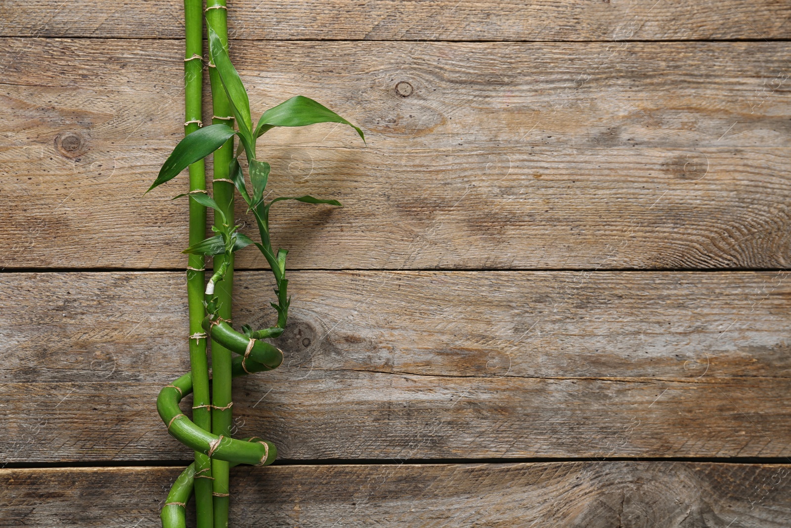 Photo of Green bamboo stems and space for text on wooden background, top view