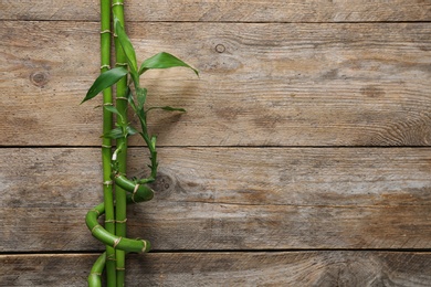 Green bamboo stems and space for text on wooden background, top view