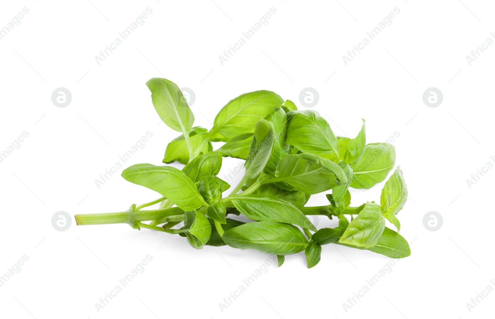 Photo of Aromatic fresh basil leaves on white background