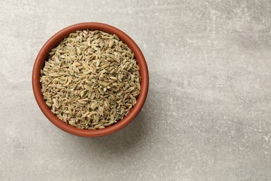 Photo of Fennel seeds in bowl on grey table, top view. Space for text