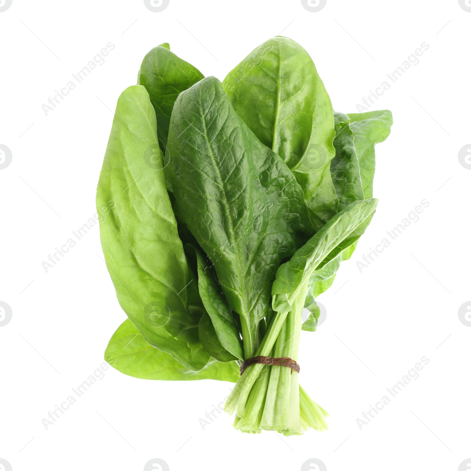 Photo of Bundle of fresh spinach isolated on white, top view