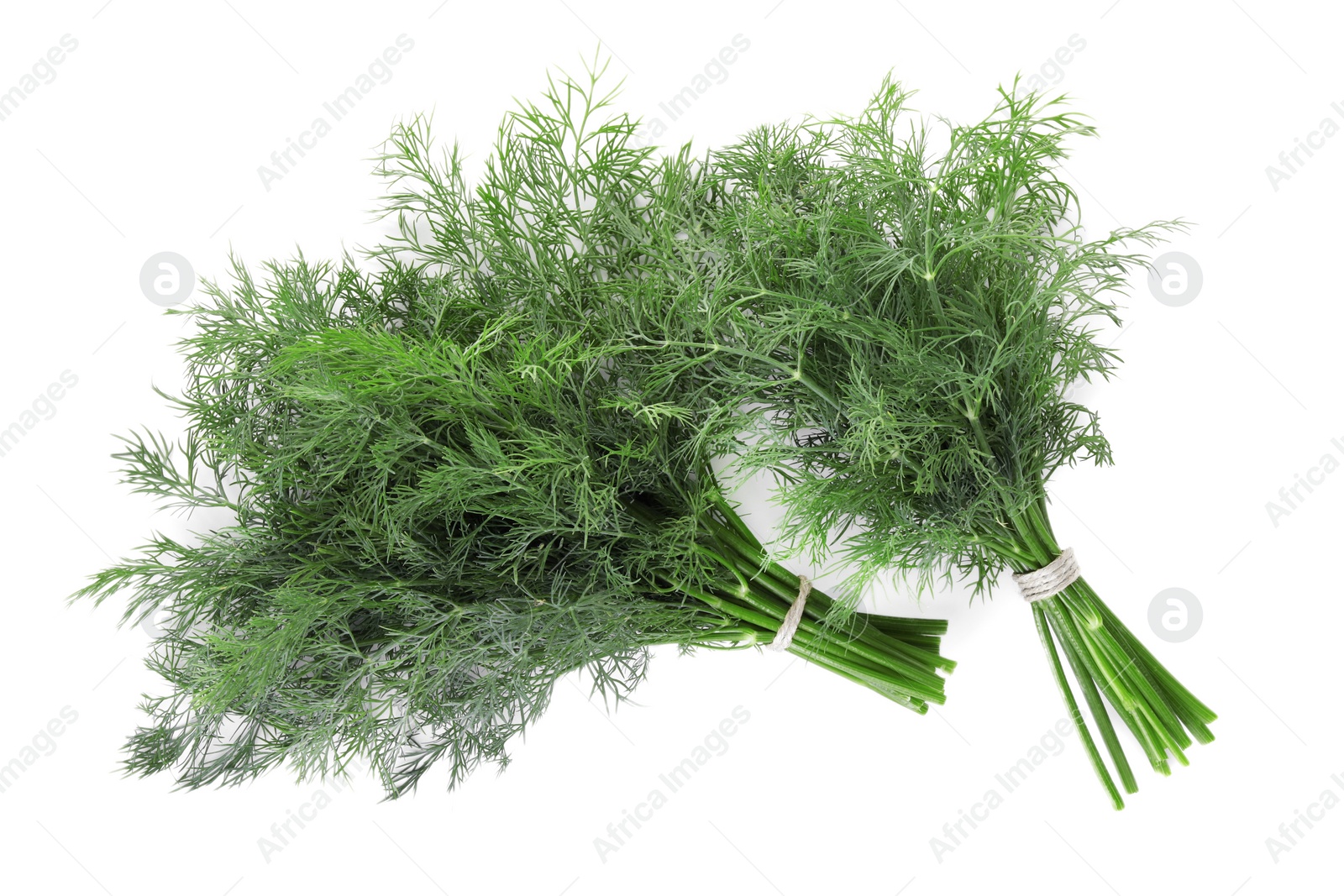 Photo of Bunches of fresh dill isolated on white, top view