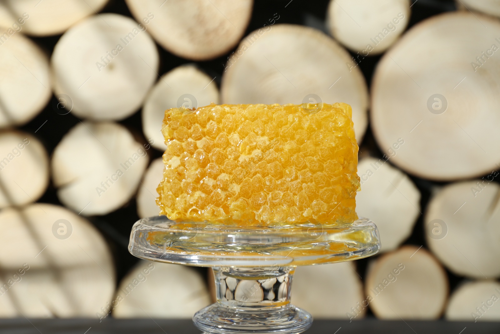 Photo of Glass stand with natural honeycomb near woods, closeup